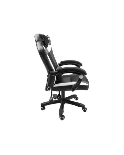 გეიმერული სავარძელი: FURY AVENGER M+ Gaming Chair Black/White