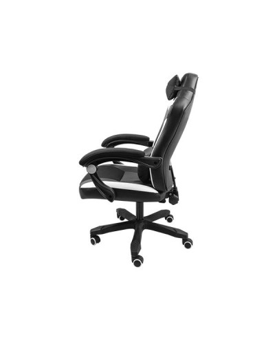 გეიმერული სავარძელი: FURY AVENGER M+ Gaming Chair Black/White