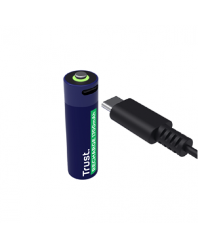 TRUST 25631 USB-C დატენვადი ელემენტები 4P-AA (000000111447) / Battery / ელემენტი