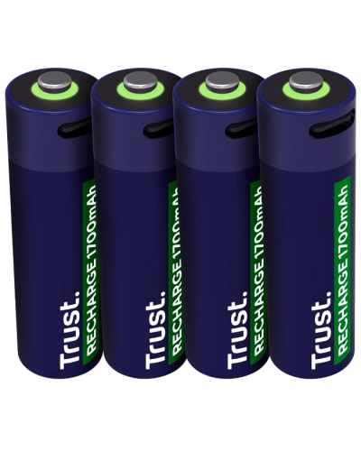 TRUST 25631 USB-C დატენვადი ელემენტები 4P-AA (000000111447)