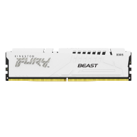 ოპერატიული მეხსიერება Kingston FURY White XMP 16GB 5600MHz DDR5 DIMM CL40 1Rx8 2G x 64-Bit (KF556C40BW-16)