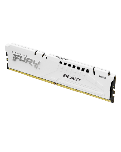 ოპერატიული მეხსიერება Kingston FURY White XMP 16GB 5600MHz DDR5 DIMM CL40 1Rx8 2G x 64-Bit (KF556C40BW-16)