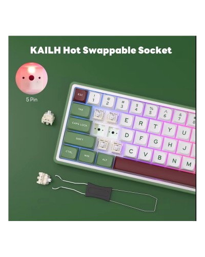 კლავიატურა - Royal Kludge RK R65 - RGB / მექანიკური / Brown switch / Type-C wired / Green sand