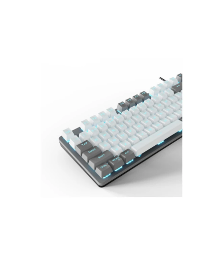 კლავიატურა AULA F3287 - RGB / Wired / Mechanical / Blue Switch / Grey/White 