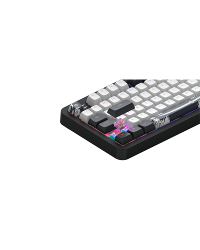 კლავიატურა - Dark Project Bushido / მექანიკური / შავ-თეთრი / 65%