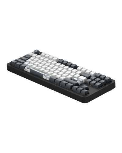 კლავიატურა - Dark Project Bushido / მექანიკური / შავ-თეთრი / 65%