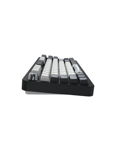 კლავიატურა - Dark Project Bushido / მექანიკური / შავ-თეთრი / 65%