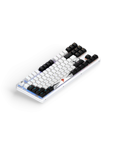 კლავიატურა - Dark Project Fuji II / მექანიკური / თეთრი / 87%