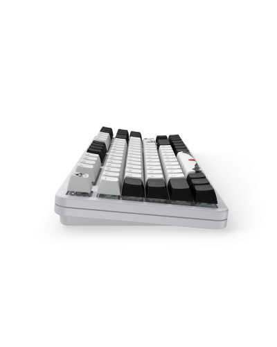 კლავიატურა - Dark Project Fuji II / მექანიკური / თეთრი / 87%