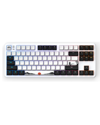 კლავიატურა - Dark Project Fuji II / მექანიკური / თეთრი / 87%