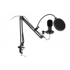 მიკროფონი სტრიმინგისთვის - 2E MPC021 / USB / Cardioid / 48kHz / ფერი: შავი